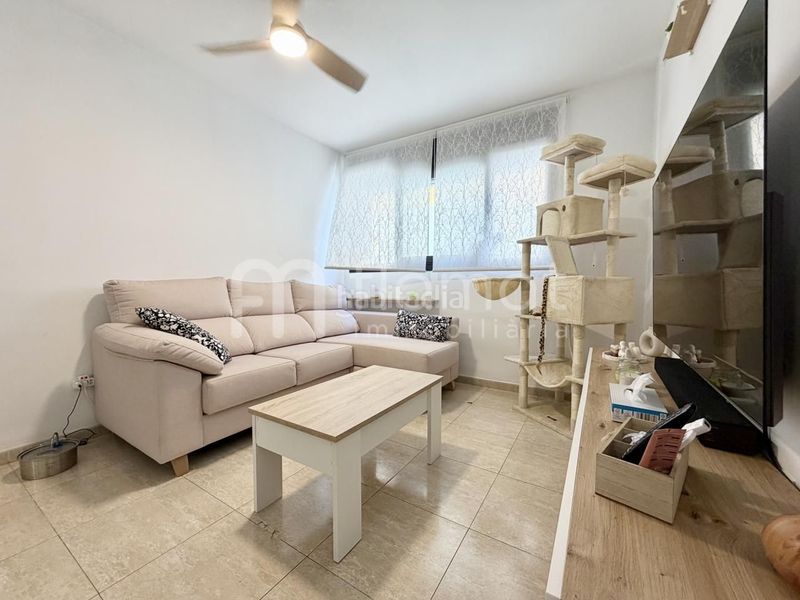 Foto b124cd12-e0e9-4164-8531-415901bcd1f8. Planta baixa a Palafolls