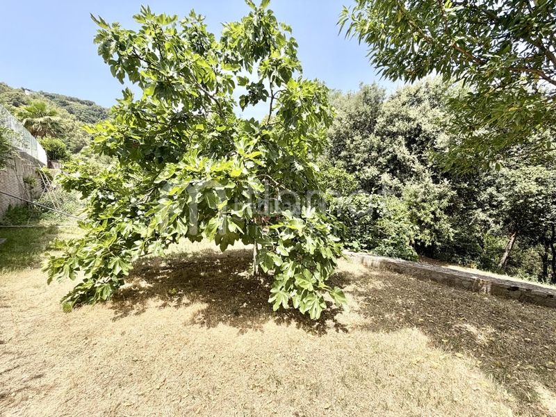 Foto 2310b734-5d8a-4874-a7ad-2efe618235b9. Casa a Palafolls