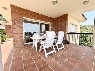 Haus  Avinguda dels arbres