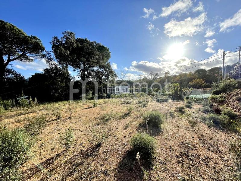 Foto 853089b5-1c2d-462a-a2fb-8ceaa71d3bd3. Terreno residencial se vente solar en Niàgara Parc -Àgora Parc Tordera