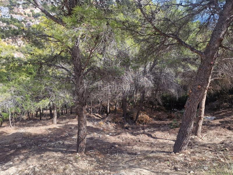 Foto 4d671c95-0278-4814-8d69-6da64e13ecaf. Terreny residencial a Altea hills Altea