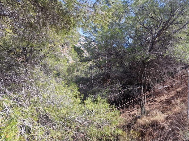 Foto 5d9ec2ec-e639-4e0e-bdf7-adafb5554ad5. Terreny residencial a Altea hills Altea