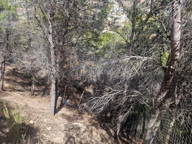 Foto c2131d18-7d01-42ae-b906-411ac9d4c589. Terreny residencial a Altea hills Altea