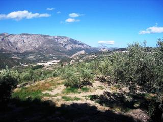 Casa a Benifato. Finca beniqueis. el privilegio de unos pocos. finca con mucha ag