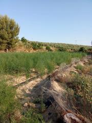Propriété à Cortijo nuevo 2040. Se vende parcela de regadío
