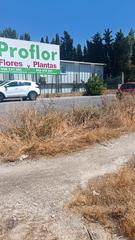 Finca rústica a Calle real 8. Parcela rustica de 3500 metros-armilla