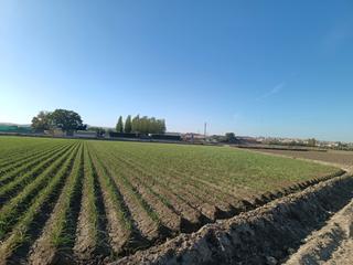 Terreno residencial en Urbanizacion suelo urb ppr 8 7