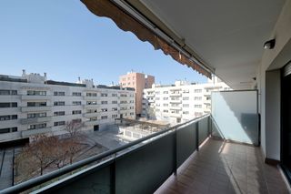 Pis a Les Arenes - La Grípia - Can Montllor