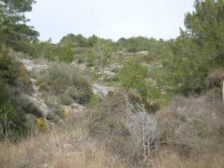 Terreny residencial a Nord. Finca rústica en venta