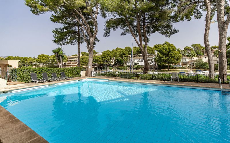 Foto 37b82857-f4e5-484a-8824-faab1d829c3c. Pis amb calefacció aparcament piscina a Santa Ponça Calvià