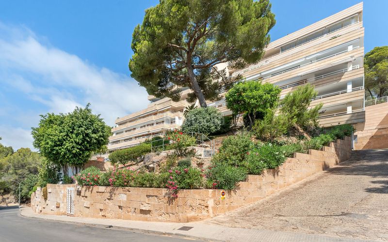 Foto bf351c0c-34e8-41e5-bbc6-4d33a4f908a6. Àtic amb aparcament piscina a Cas Català-Illetes Calvià
