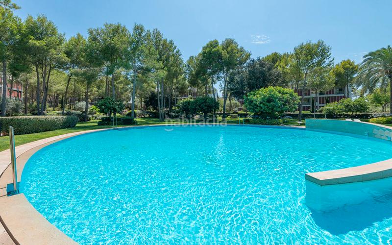 Foto b68fe6c9-a83a-4fcb-b8ec-6c04ebe47c0e. Attico con piscina in Portals Nous Calvià
