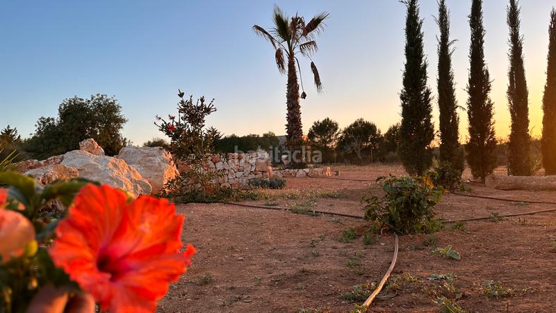 Foto 8745b577-924a-46e5-b784-83f8d427b5f7. Terreno residencial en Ses Salines poble Ses Salines
