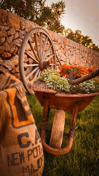 Foto 79869eb9-ca1e-4fe7-a2a1-d635e72acdbc. Terrain résidentiel dans Ses Salines poble Ses Salines