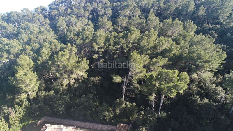 Foto 80f718d5-16da-4909-b626-fa6abd98650a. Masia amb calefacció aparcament piscina a port de Pollença Pollença