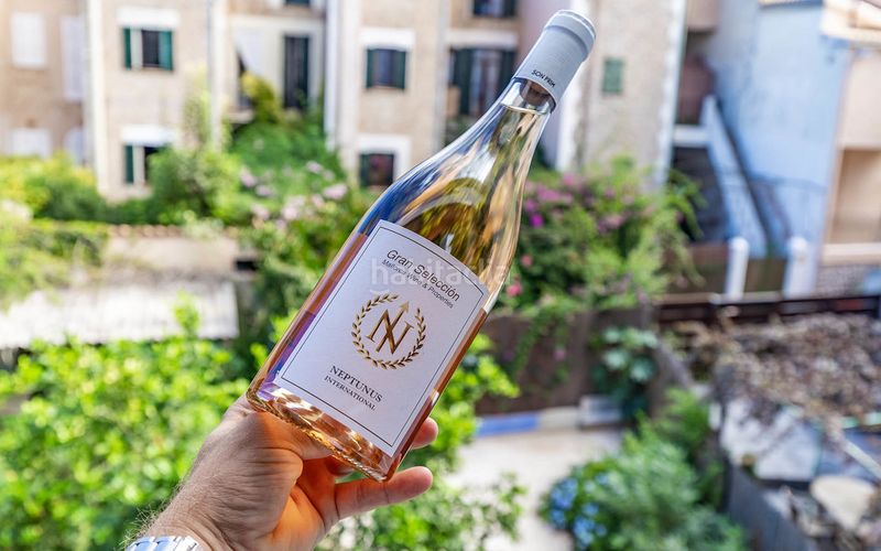 Foto e6f9abd8-38dd-456f-895d-a7ecaa3f1705. Casa amb calefacció aparcament a Sóller