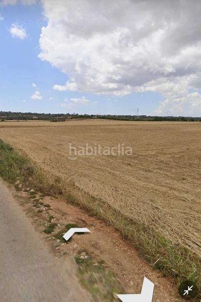 Foto bf882262-8648-4160-84c4-75b92a4631ff. Terreno residencial en Manacor centre Manacor