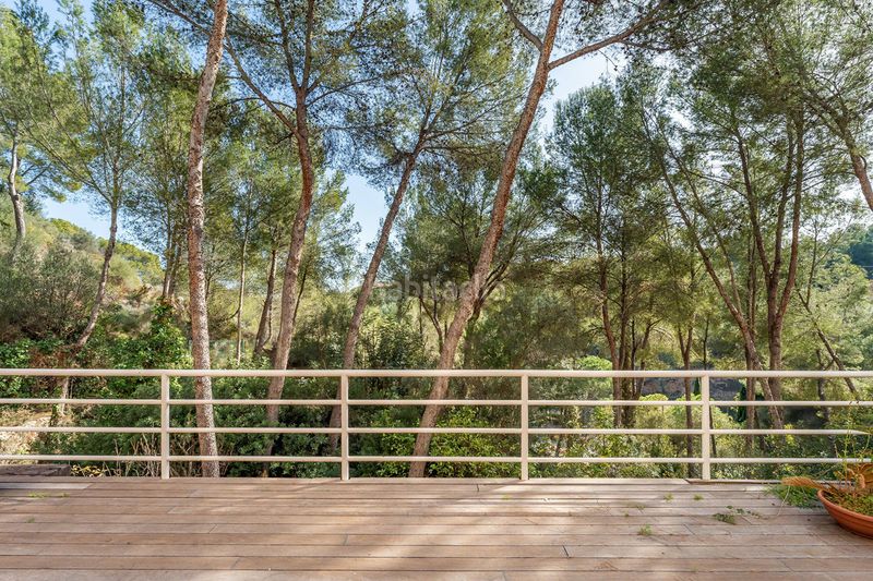Foto da85db1b-68f0-4e0e-9281-566ff5b9f2c2. Pis amb piscina a Cas Català-Illetes Calvià
