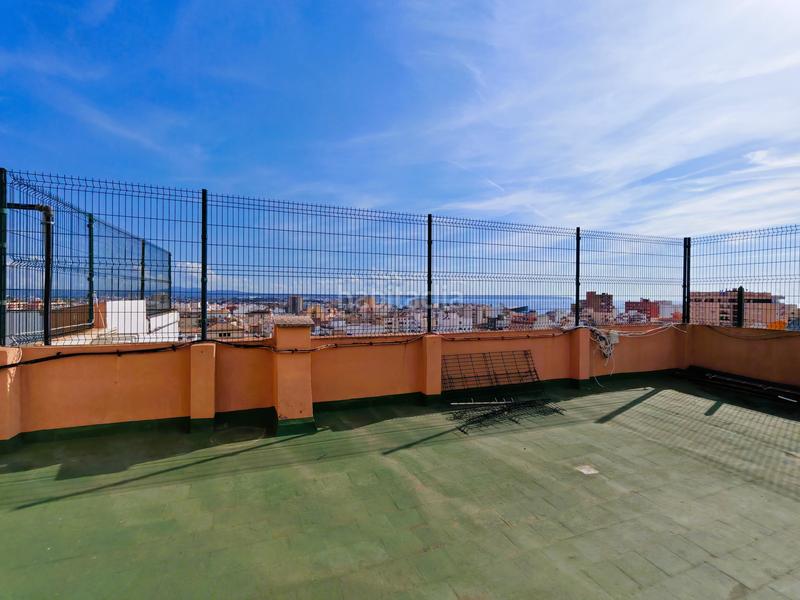 Foto 9eec5ada-b8ec-4e02-9366-3cb8b4c07d94. Apartment in El Sindicat Palma de Mallorca