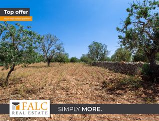 Terreny residencial a Felanitx Poble. Parcela edificable con muros de piedra seca y árboles maduros en