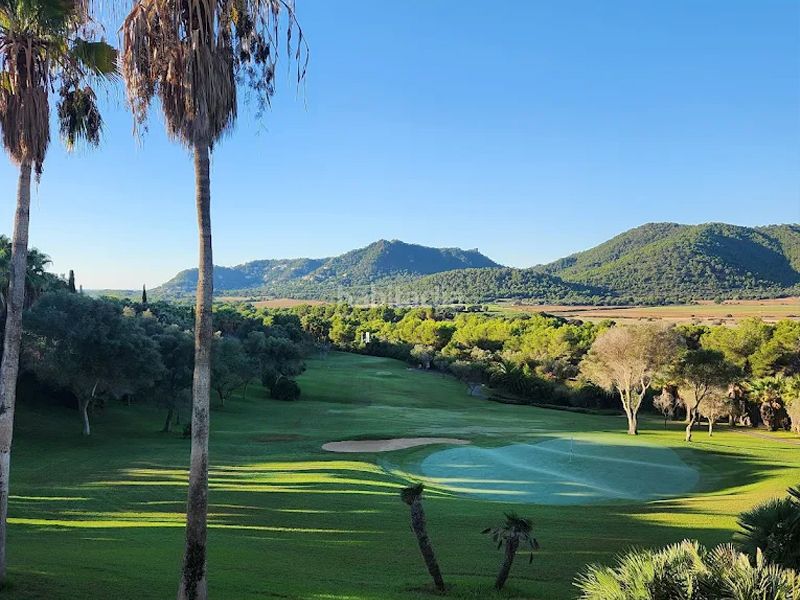 Foto decf606c-eac6-4467-a344-0f74078db66c. Edificio vida exclusiva en el pinar en Canyamel Capdepera