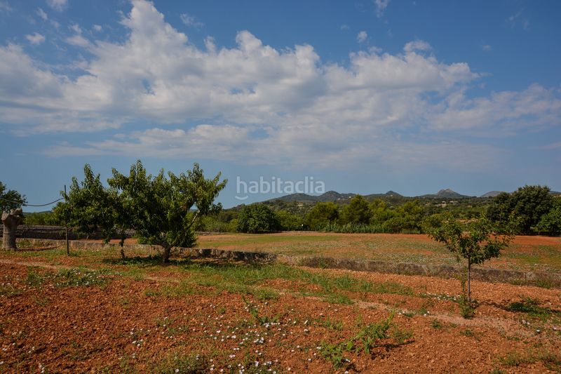 Foto 0cb8d455-431c-44c0-9d8a-c402558462e0. Masia amb calefacció aparcament piscina a Artà poble Artà