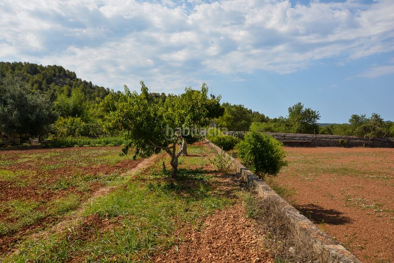 Foto 52c29da6-5fbe-404c-8f5c-f035a9312057. Masia amb calefacció aparcament piscina a Artà poble Artà
