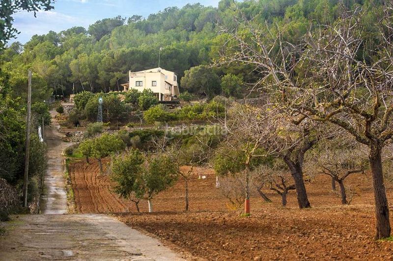 Foto 3b3bba95-001c-4f80-952b-969847a0141b. Masia a Manacor centre Manacor