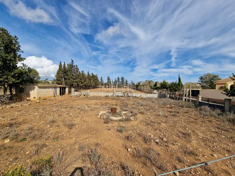 Foto 6e55209a-48a6-429b-b2e7-9e8cf16912b6. Terreny residencial a Sant Llorenç des Cardassar