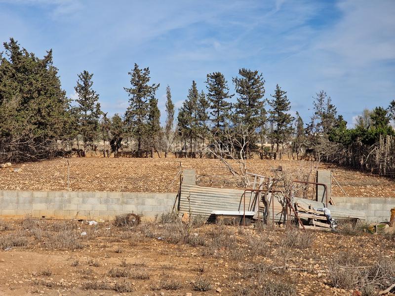 Foto a3eaa370-cfa9-4cd4-b41d-f57b8d215f71. Terreny residencial a Sant Llorenç des Cardassar