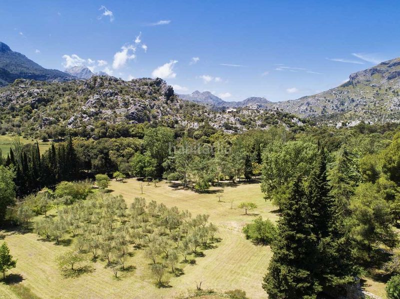 Foto 72f2fad8-c29c-4d13-9f2c-ae1bcc5849f4. Edifici a Escorca