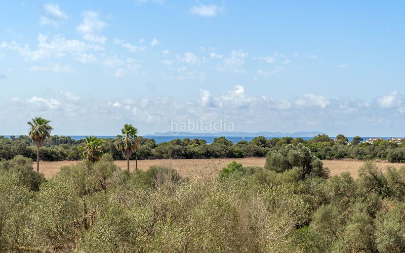Foto 57245eed-7311-4e8b-98b6-55358e657e7e. Masia amb calefacció aparcament piscina a Sa Ràpita - Ses Covetes Campos