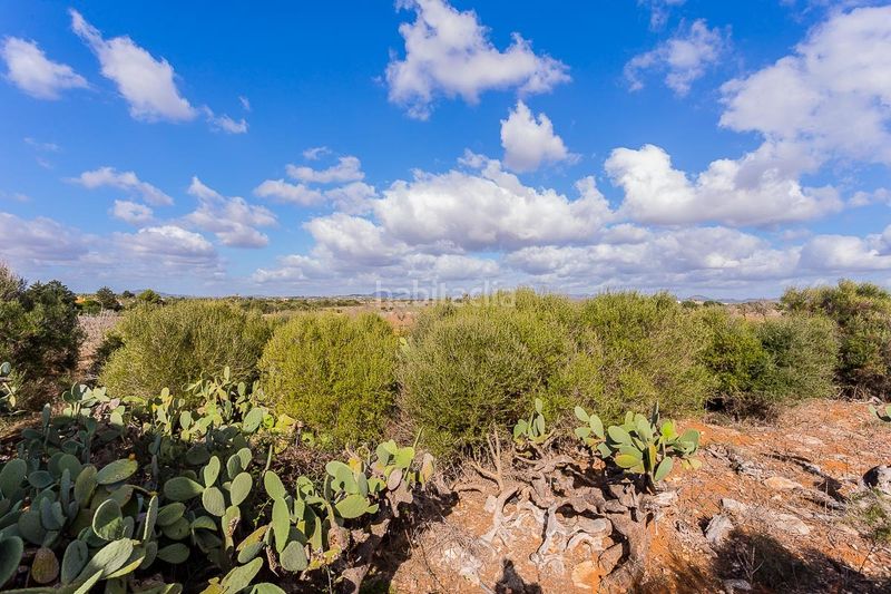Foto 40f2ea89-9924-4ae0-a390-b55e780fdb5f. Masia a Cala Magrana-Cala Anguila-Cala Mendia Manacor