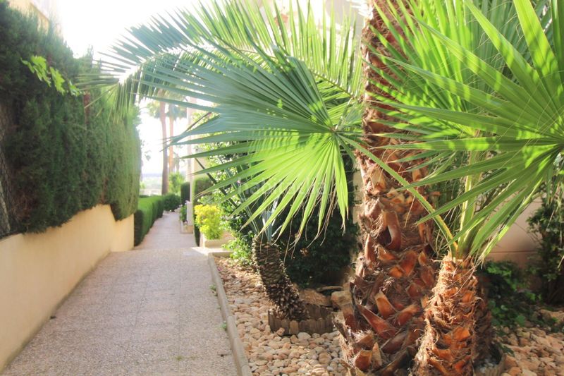 Foto e55b1f49-7748-4f68-9318-64517b10c4a2. Edificio in La Veleta Torrevieja