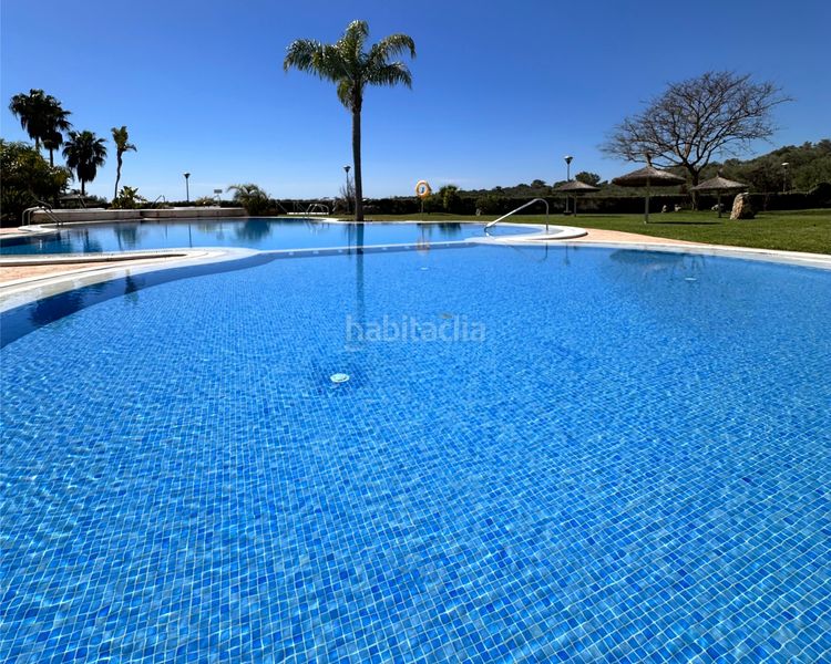Foto 52077085-b81b-43cd-b073-173c4fd3c7c6. Àtic amb calefacció piscina a Cales de Mallorca Manacor