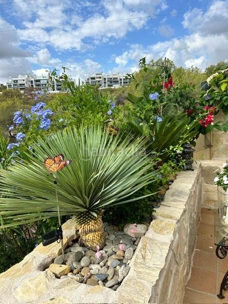 Foto 45717a4a-dd92-4145-8838-5ba3d46cdcd1. Casa adossada amb piscina a Lomas de Campoamor - Las Ramblas Orihuela