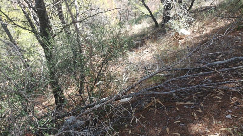 Foto 73872890-4c9e-4076-966a-a55cf4b0c009. Terreno residencial en Altea la vella Altea