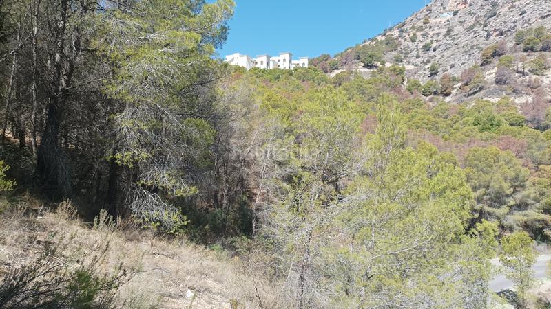 Foto 9f3c5d59-4406-4146-84b8-83acf11a17fc. Terreno residencial en Altea la vella Altea