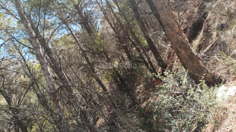 Foto f1cac9e1-3054-463d-8fa8-99430d378d4d. Terreno residencial en Altea la vella Altea