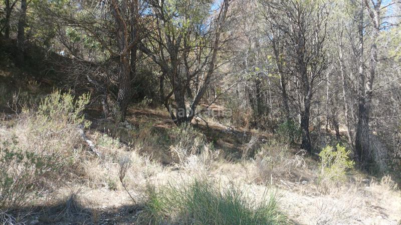 Foto a96ba0cc-ce8d-4294-a703-683b1e140fe4. Terreno residenziale in Altea la vella Altea