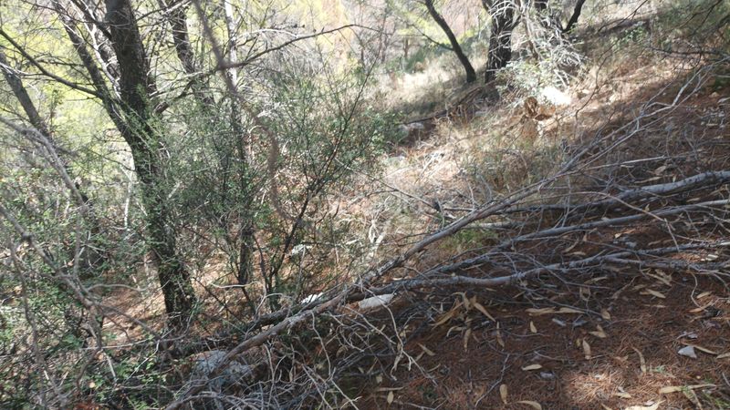 Foto 73872890-4c9e-4076-966a-a55cf4b0c009. Terreny residencial a Altea la vella Altea