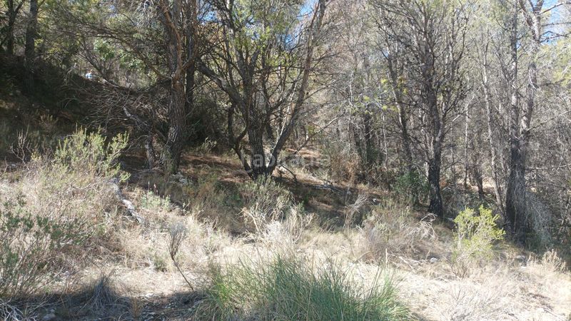 Foto a96ba0cc-ce8d-4294-a703-683b1e140fe4. Terreny residencial a Altea la vella Altea