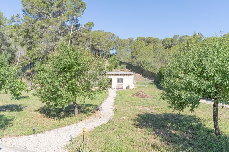 Foto 5ade3b3c-dcfc-4939-a6a4-b75022663b95. Masia amb calefacció a Calvià poble Calvià