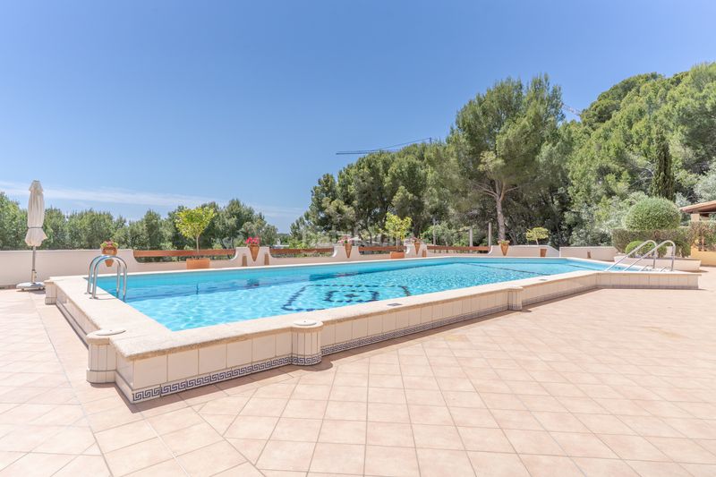 Foto 0a62379f-6e98-4fd3-b854-3388fcf759f0. Pis amb calefacció piscina a Peguera Calvià