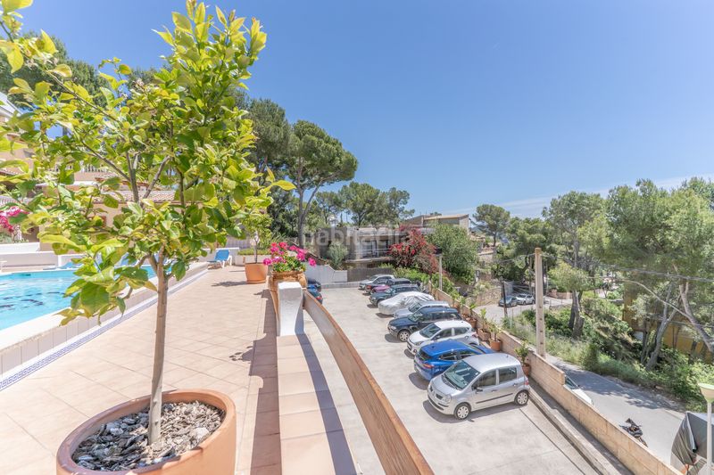 Foto 468e4abd-2308-490c-a0f2-4b36248730d2. Pis amb calefacció piscina a Peguera Calvià