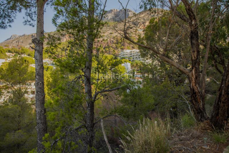 Foto 46e3599f-f018-43d9-843f-a0713a5b9830. Terrain résidentiel dans Altea la vella Altea