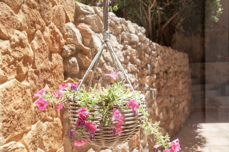Foto d7b3e1f8-0061-4d23-a821-42de158e5485. Masia amb calefacció aparcament piscina a Cala Ratjada Capdepera
