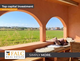 Mas à S´Aranjassa. Finca histórica con molino y un gran potencial de desarrollo
