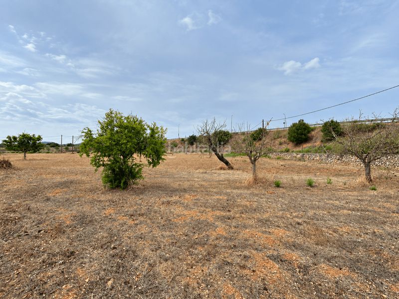 Foto ebd73fc1-38c9-45c9-9f64-8680e861140d. Casa amb aparcament a Algaida