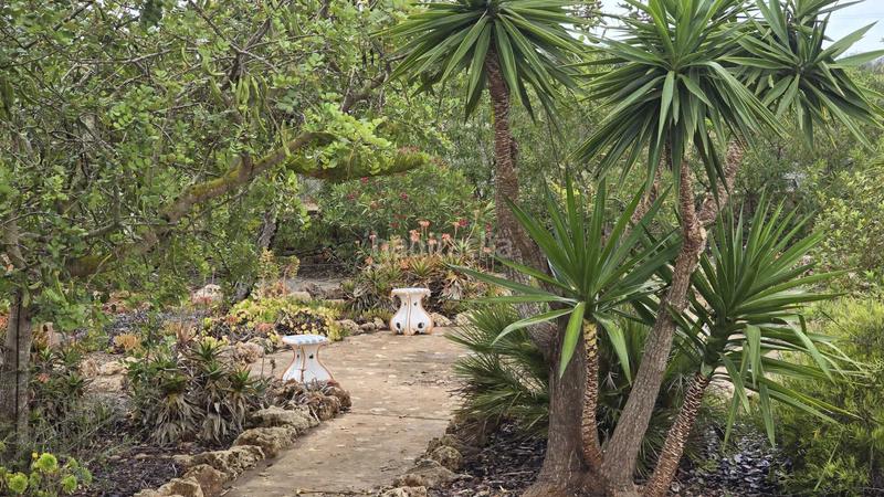 Foto b1101475-25de-4fb4-9681-5ff859cc2d0a. Haus in Sant Llorenç des Cardassar